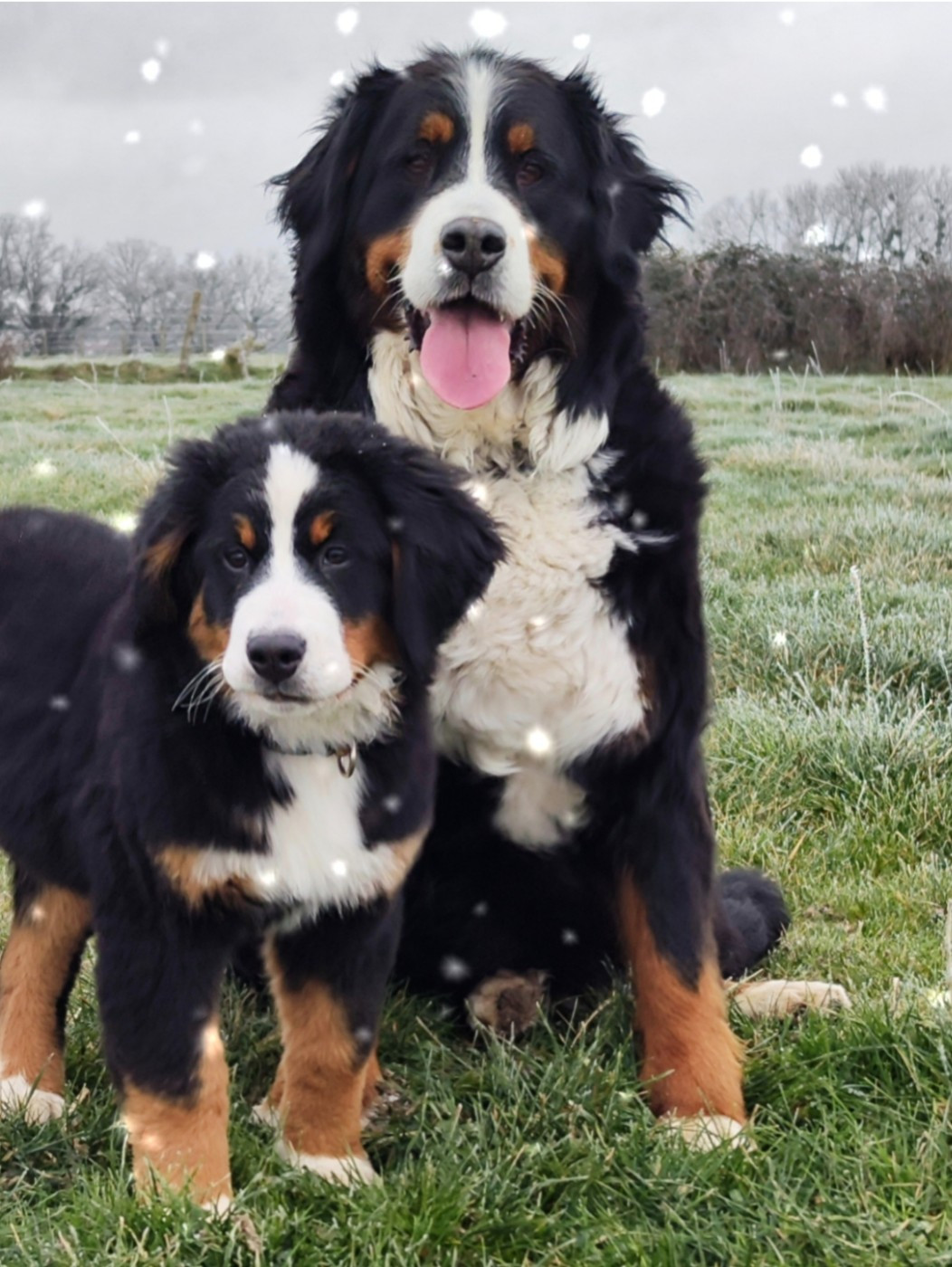 Nos Meilleurs Voeux pour 2026