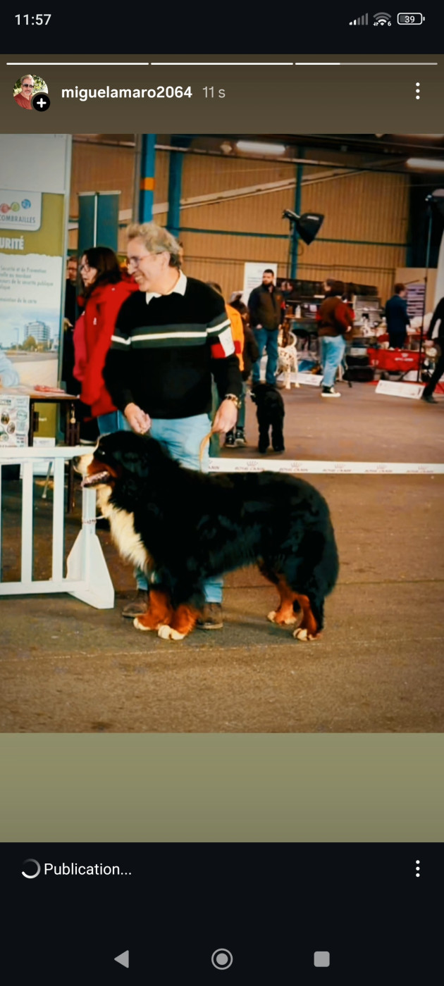 CACIB Montluçon 2026