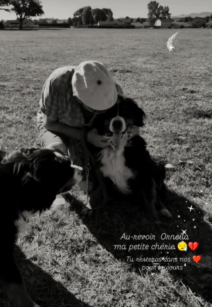 Dernier au revoir à notre belle Ornella